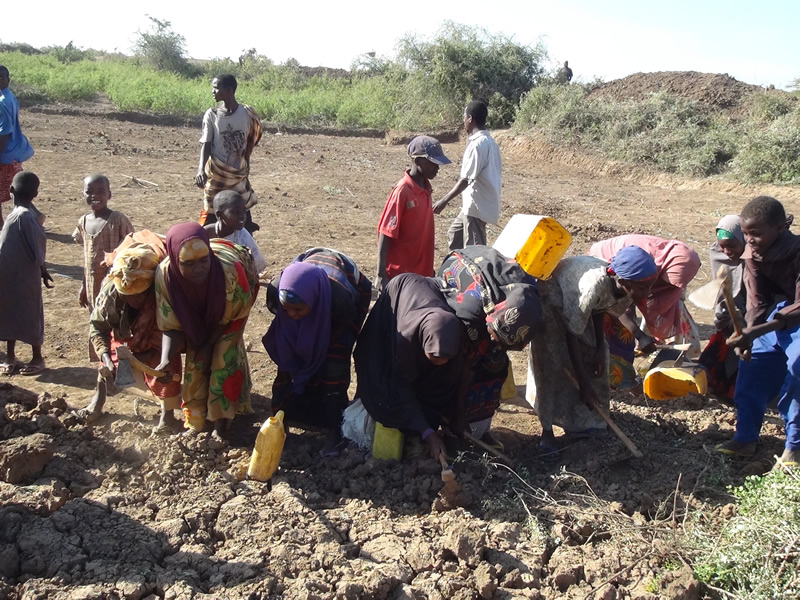 Wanlaweyne-water-catchmeent-rehabilitation-3